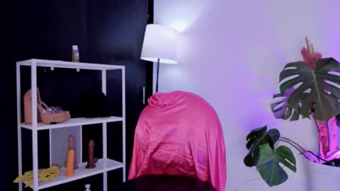 Snapshot of vickygrey1 chatting on 11/27/25, 08:44 Vicky Greys online show from 11/27/25, 08:44