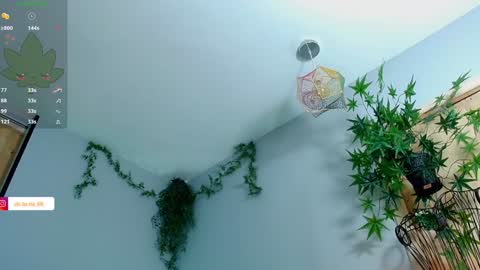 Victoria   online show from 01/27/25, 11:22