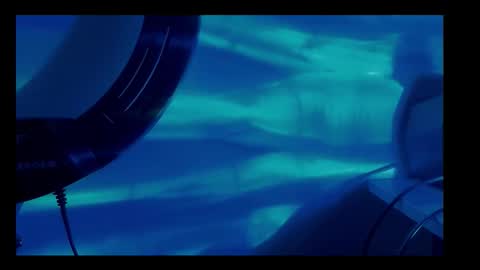 vickyvalencia2 online show from 03/02/26, 02:47