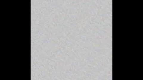 Victoria Collins online show from 10/17/25, 12:08