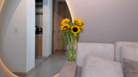 Vcitoria online show from 01/21/25, 04:21