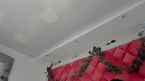 Snapshot of victoriawills_ chatting on 03/12/25, 11:44 ADRIANA online show from 03/12/25, 11:44