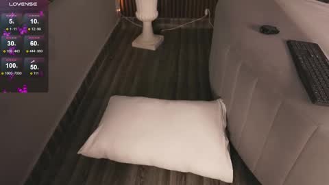 Snapshot of victoriaxx_ chatting on 11/29/25, 11:30 hi Im daniela I will be online again in 15 hours after each transmission 3 online show from 11/29/25, 11:30