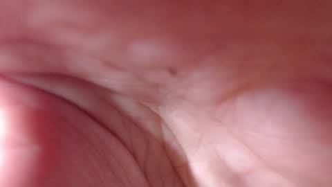 VictoryVega online show from 09/11/25, 07:52