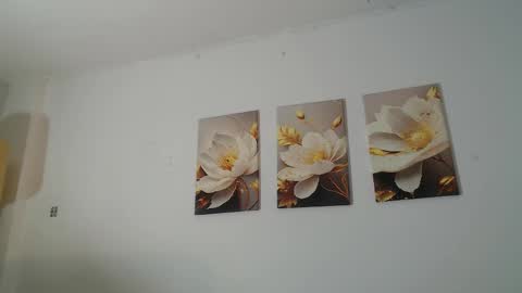 VIOLET  online show from 02/11/26, 11:48