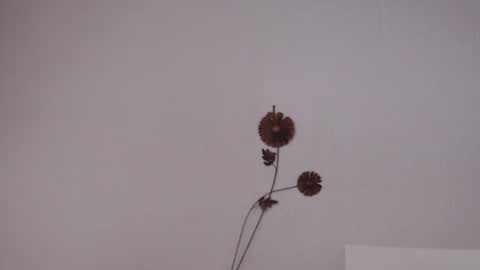 Snapshot of viiolettaaa chatting on 06/27/26, 10:37 viiolettaaa online show from 06/27/26, 10:37