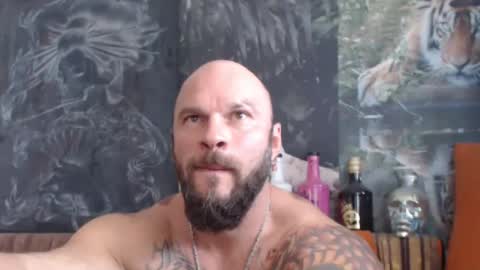 viking online show from 09/12/25, 07:08