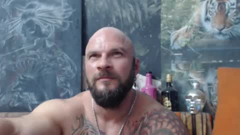 viking online show from 09/15/25, 06:41