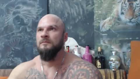 viking online show from 11/04/25, 08:08