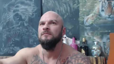 viking online show from 11/08/25, 07:56