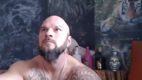 viking online show from 11/11/25, 08:14