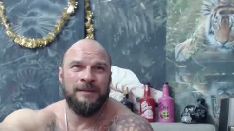 viking online show from 03/28/26, 08:30