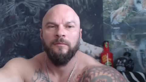 viking online show from 05/20/26, 06:08