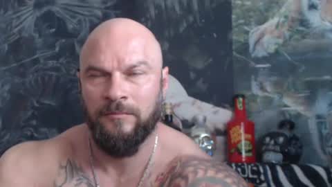 viking online show from 05/21/26, 06:53