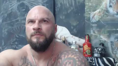 viking online show from 06/01/26, 06:31