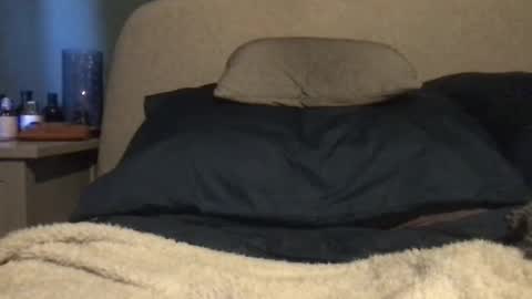 Vinny online show from 03/03/25, 11:00