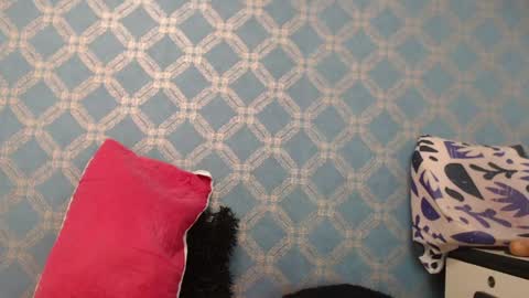 Violeta  online show from 01/10/25, 10:15