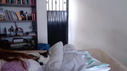 Violeta Peter online show from 02/23/25, 08:33