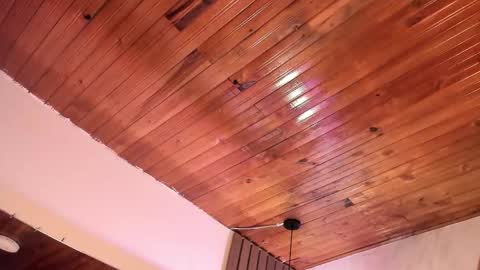 Violet online show from 03/28/26, 02:11