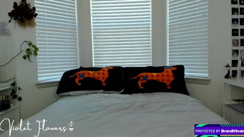 Snapshot of violetttflowers chatting on 01/05/25, 06:13 Violet Flowers online show from 01/05/25, 06:13