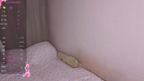 vitterrick online show from 11/25/25, 04:07