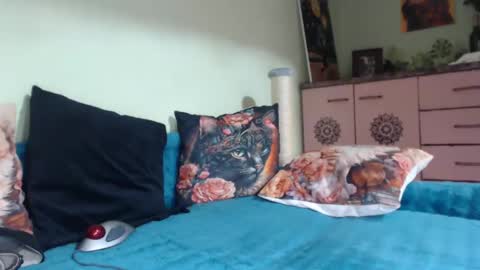 Snapshot of viva919 chatting on 03/11/25, 08:31 Viva online show from 03/11/25, 08:31