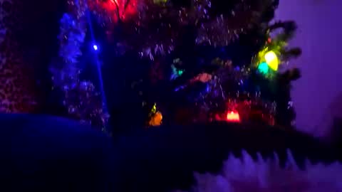 Vivi online show from 01/11/26, 11:43