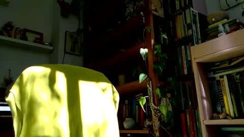 Snapshot of vivid_ether chatting on 10/27/25, 12:09 Viv online show from 10/27/25, 12:09