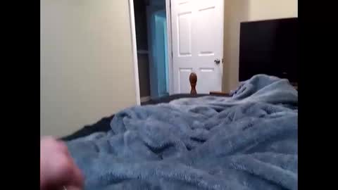 Snapshot of vladedivac1998 chatting on 03/31/26, 06:19 vladedivac1998 online show from 03/31/26, 06:19