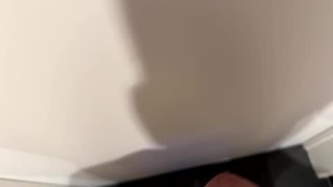 John online show from 03/13/26, 06:58