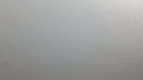 volentic online show from 10/09/25, 12:14