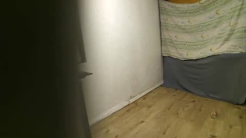 Snapshot of vpetkah chatting on 11/04/25, 06:01 vpetkah online show from 11/04/25, 06:01