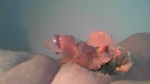 vukavuka99 online show from 10/26/25, 09:53