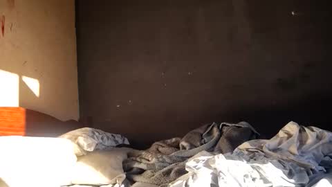 vulgorobson6 online show from 04/18/26, 07:29