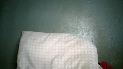 Champion Lover online show from 01/07/26, 05:26