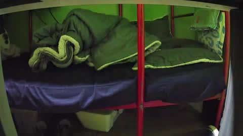 Snapshot of walltazv chatting on 03/24/26, 05:01 Kentaro online show from 03/24/26, 05:01