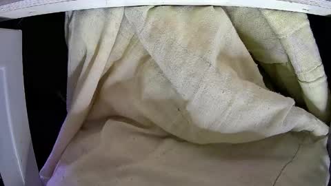 Snapshot of walltazv chatting on 04/25/26, 04:48 Kentaro online show from 04/25/26, 04:48