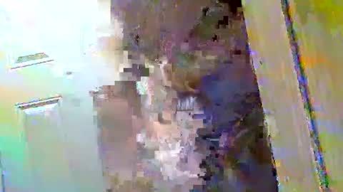 Snapshot of waltbkk chatting on 12/09/24, 10:43 Walter online show from 12/09/24, 10:43