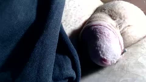 Snapshot of wantsum2night chatting on 11/06/25, 02:40 wants online show from 11/06/25, 02:40