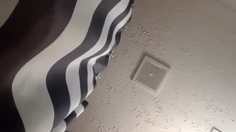 Snapshot of wanttowatch87 chatting on 12/25/24, 05:58 wanttowatch87 online show from 12/25/24, 05:58