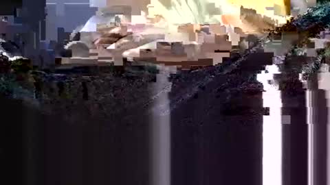 Snapshot of wanttowatch87 chatting on 02/12/25, 03:51 wanttowatch87 online show from 02/12/25, 03:51