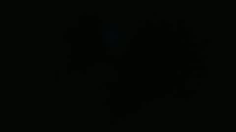 wapos__25 online show from 11/25/25, 01:49