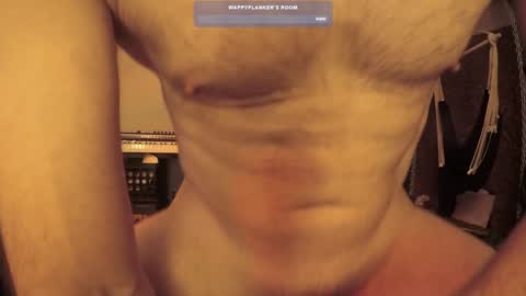 Snapshot of wappyflanker chatting on 12/11/24, 02:54 wappyflanker online show from 12/11/24, 02:54