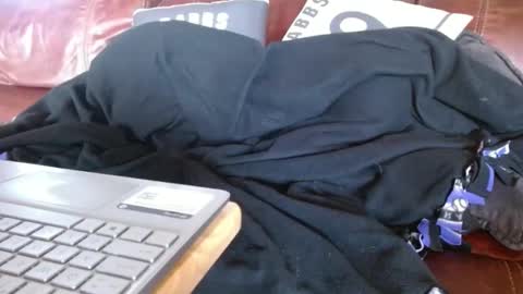 Snapshot of watchedging chatting on 12/01/24, 10:21 Hereforfun online show from 12/01/24, 10:21