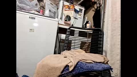 wcnmail24 online show from 02/16/26, 07:21