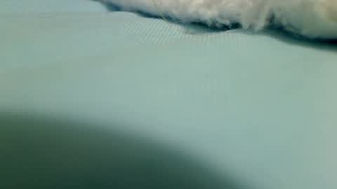 Snapshot of webbo809 chatting on 03/16/26, 04:33 webbo809 online show from 03/16/26, 04:33