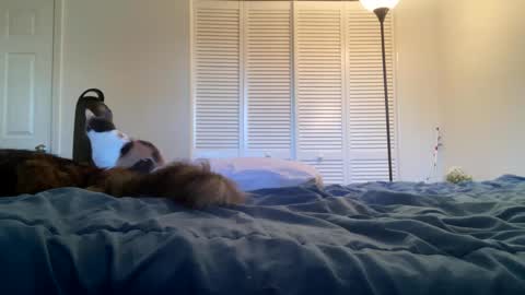 Snapshot of weedwacker43 chatting on 02/26/25, 10:53 weedwacker43 online show from 02/26/25, 10:53