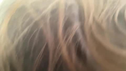 Snapshot of weedwacker43 chatting on 03/01/26, 03:25 weedwacker43 online show from 03/01/26, 03:25