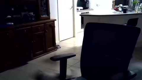 Wellhelloo online show from 02/15/26, 12:36