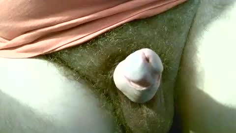 Snapshot of welshstuds chatting on 09/30/25, 11:59 welshstuds online show from 09/30/25, 11:59